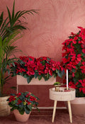 Decoración Navideña Floral para Hoteles y Espacios Comerciales